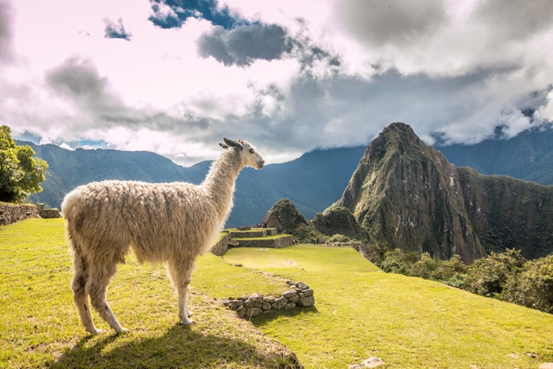 Preparativos para el Camino Inca a Machu Picchu