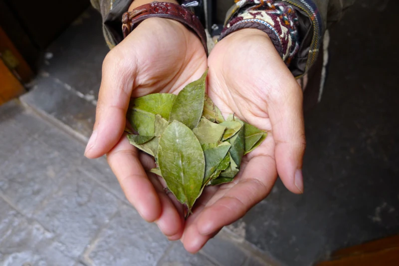 tè de coca