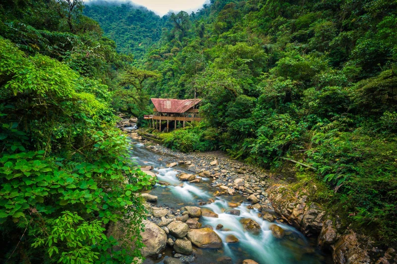 Parque Nacional del Manu